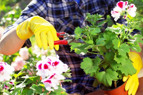 Gardener putting on gloves before starting work