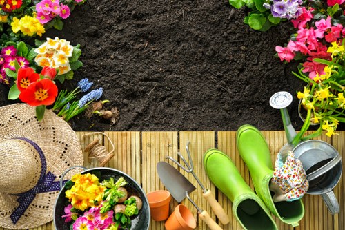 Gardening professional planning local landscaping works