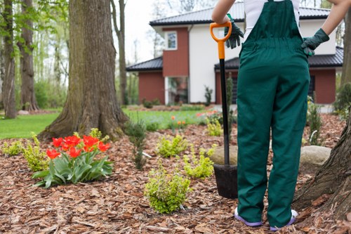 Sustainable garden practices in a Forest Gate landscape