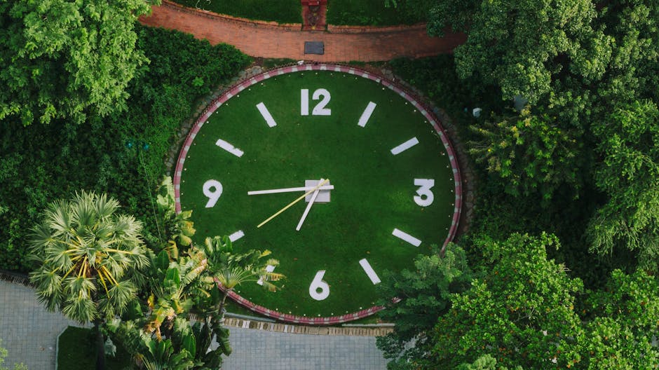 An aerial view of a garden featuring a large, round grass lawn with a prominent, oversized white clock face embedded into the center, displaying the time as 8:45. Surrounding the clock are lush, green